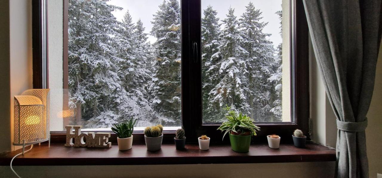 Pine Tree Apartment / Borovets Gardens 외부 사진