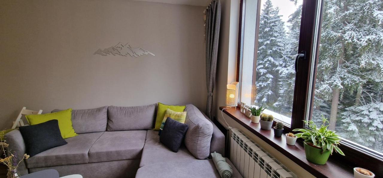 Pine Tree Apartment / Borovets Gardens 외부 사진